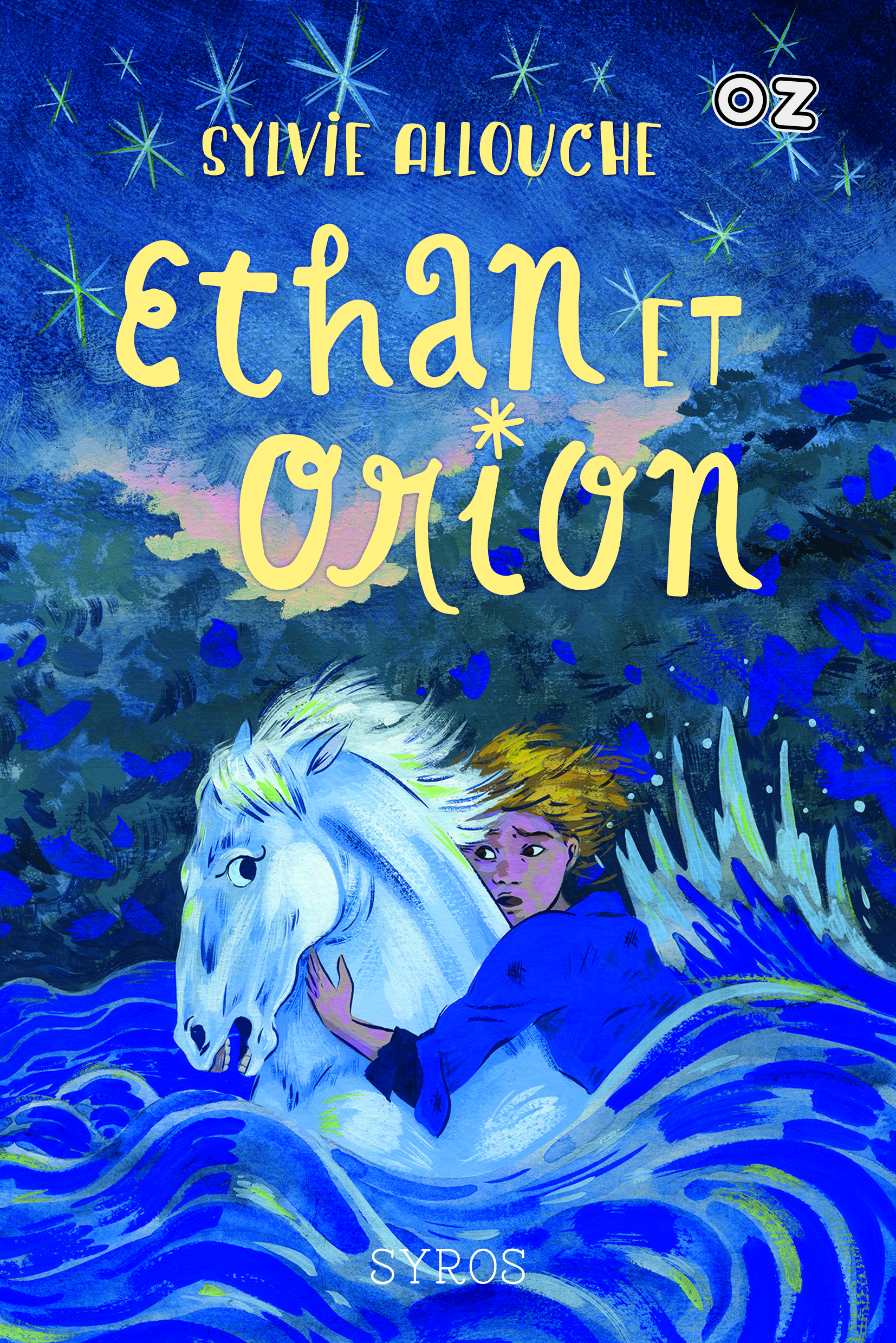 Livre Ethan et Orion de Sylvie Allouche
