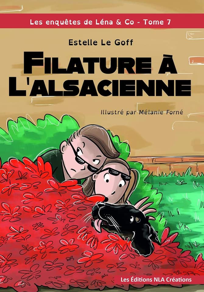 Livre Filature à L'alsacienne de Estelle Le Goff